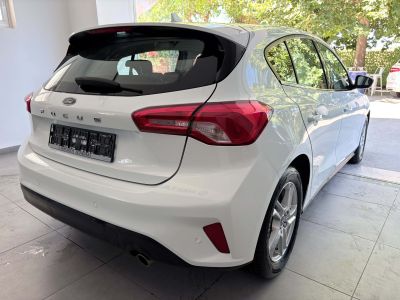 Ford Focus  Business