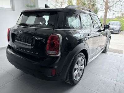 Mini Countryman One D